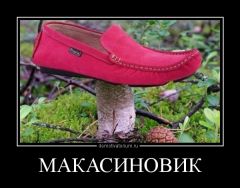 Макасиновик