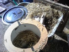 IMG 20160307 130307 1