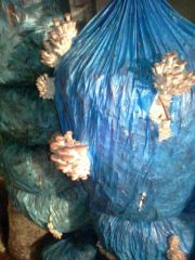 IMG 20160414 205900 1