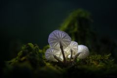 stock photo 125424281