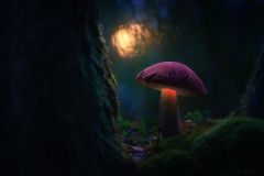 stock photo 121485587