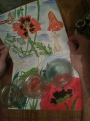 Чашки Петри, Вид сверху