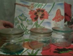 Чашка Петри,Вид Сбоку