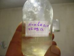 Нуклеар