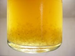 Левый плесневый миц