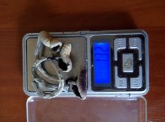 PHOTO 20160819 143638