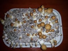 PHOTO 20170219 000323