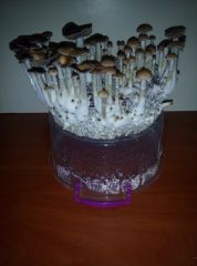 PHOTO 20170224 140505