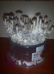 PHOTO 20170223 234318