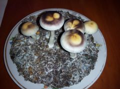 PHOTO 20160816 212923