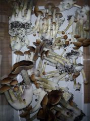 PHOTO 20170224 150026