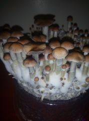 PHOTO 20170223 234359