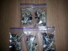 PHOTO 20170222 234956