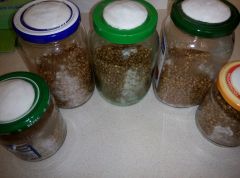 PHOTO 20160701 233006