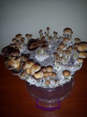 PHOTO 20170224 140532