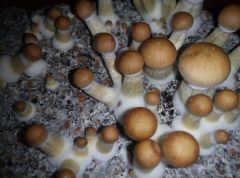 PHOTO 20170219 000359