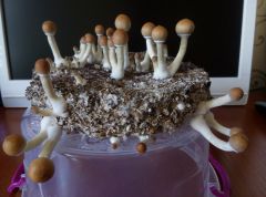 PHOTO 20160819 161702