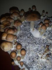 PHOTO 20170223 234344