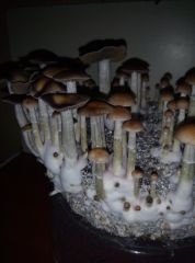 PHOTO 20170224 140644