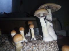 PHOTO 20170301 121328