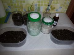 PHOTO 20160719 153535