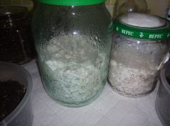 PHOTO 20160719 153542