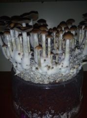 PHOTO 20170224 140544