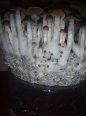 PHOTO 20170223 234440