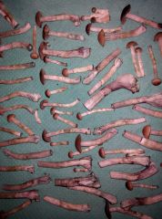 PHOTO 20170224 154518