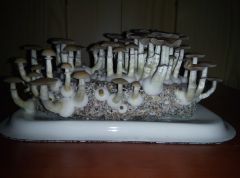 PHOTO 20170219 164222