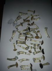 PHOTO 20170219 170404