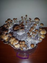 PHOTO 20170224 140554