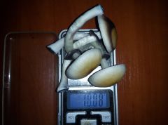 PHOTO 20160818 003943