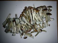 PHOTO 20170224 153205