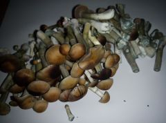 PHOTO 20170224 153229