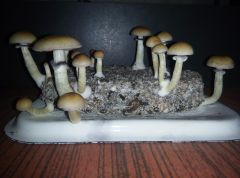 PHOTO 20170301 234419