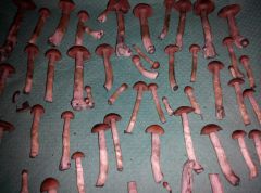 PHOTO 20170224 154552