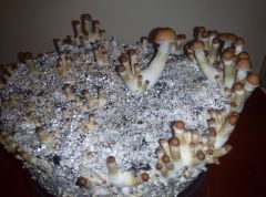 PHOTO 20170222 232651