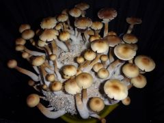 post 22535 0 80486900 1478455749