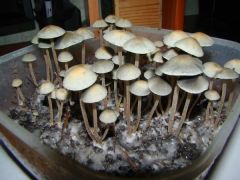 на фото месяца