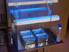 0b9185a293a90ed5d1bb68c8c9614f43