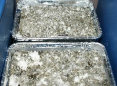 0c00157252c565b29f85df6b5ee6f400