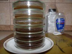 00a19ec5c7eb84092b5e8d87c8a67de2