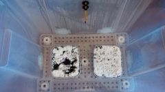 0abba54c9aeb5200e61aa581e0051a51