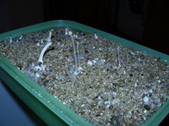 0bfbf547571f41bda6c509a9c569ca2b