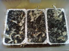 00a2d655ec290afd9bc82bcac736af88