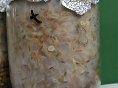 0c54395301c5b53452357b05d24ccc3b