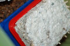 0c7d1f856eceb2f52a8fafa970d44b98