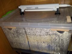 0b1decc38f232882053099142f3a8668