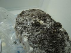 0b4fc0f15f8a1859c4e93b4314831e56